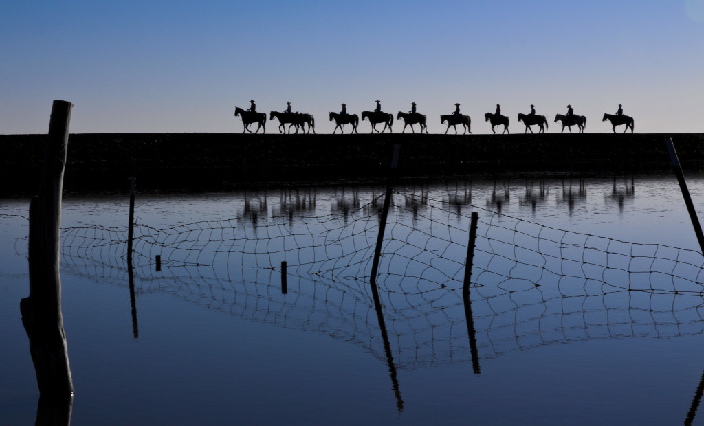 Shortly after the sun rises, the Cavalcade Wranglers ride their horses across the dam at Philmont Scout Ranch in Cimarron, New Mexico.