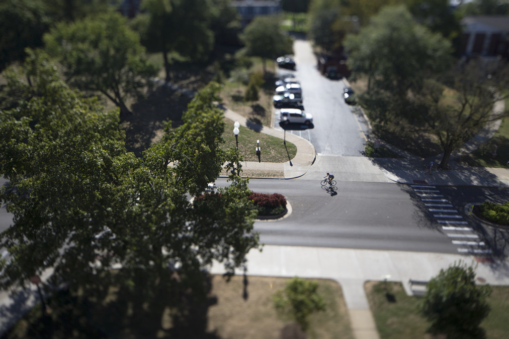 A cyclist bikes up the hill on Avenue of Champions between class changes on Tuesday, Sept. 22. In 2013 WKU received a bronze level certification for bike friendliness from the League of American Bicyclists. JAKE POPE