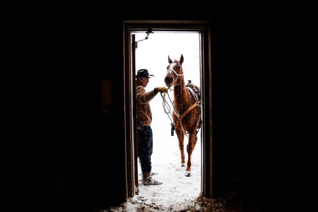 --FEB 14, 2016-- Bowling Green, KY -- Dawson Turner, 17, of Sydney, Arkansas opens the arena door for his horse, Django. Turner, who has been roping for four years, competed in the Calf Roping competition at the Lone Star Championship Rodeo at the L.D Brown Agricultural Exposition Center in Bowling Green, Kentucky on Sunday, February 14th, 2016. |Skyler Ballard (Photo by Skyler Ballard)
