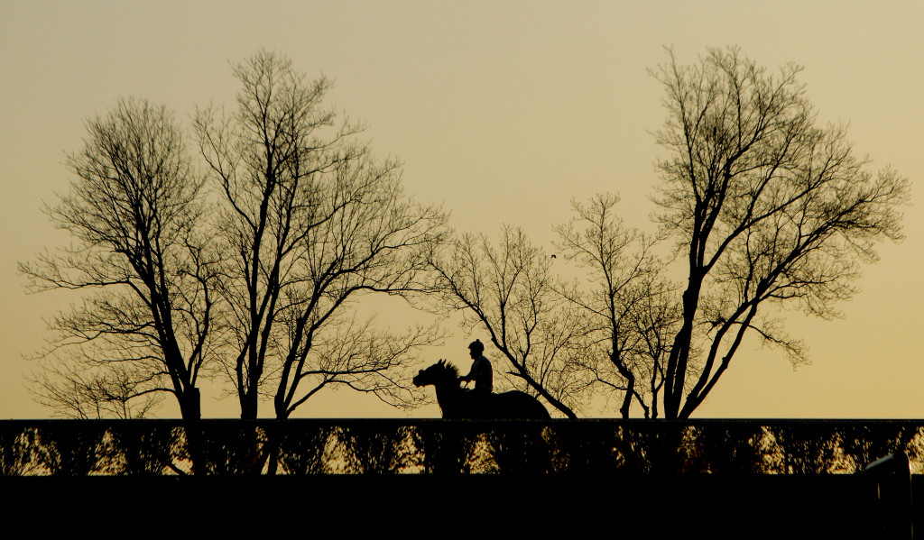 SUNDAY APRIL 17, 2016--LEXINGTON, KY-- Jockeys and horses are up early morning warming up and prepping for the last day of races for the weekend at the Keenland race tracks.